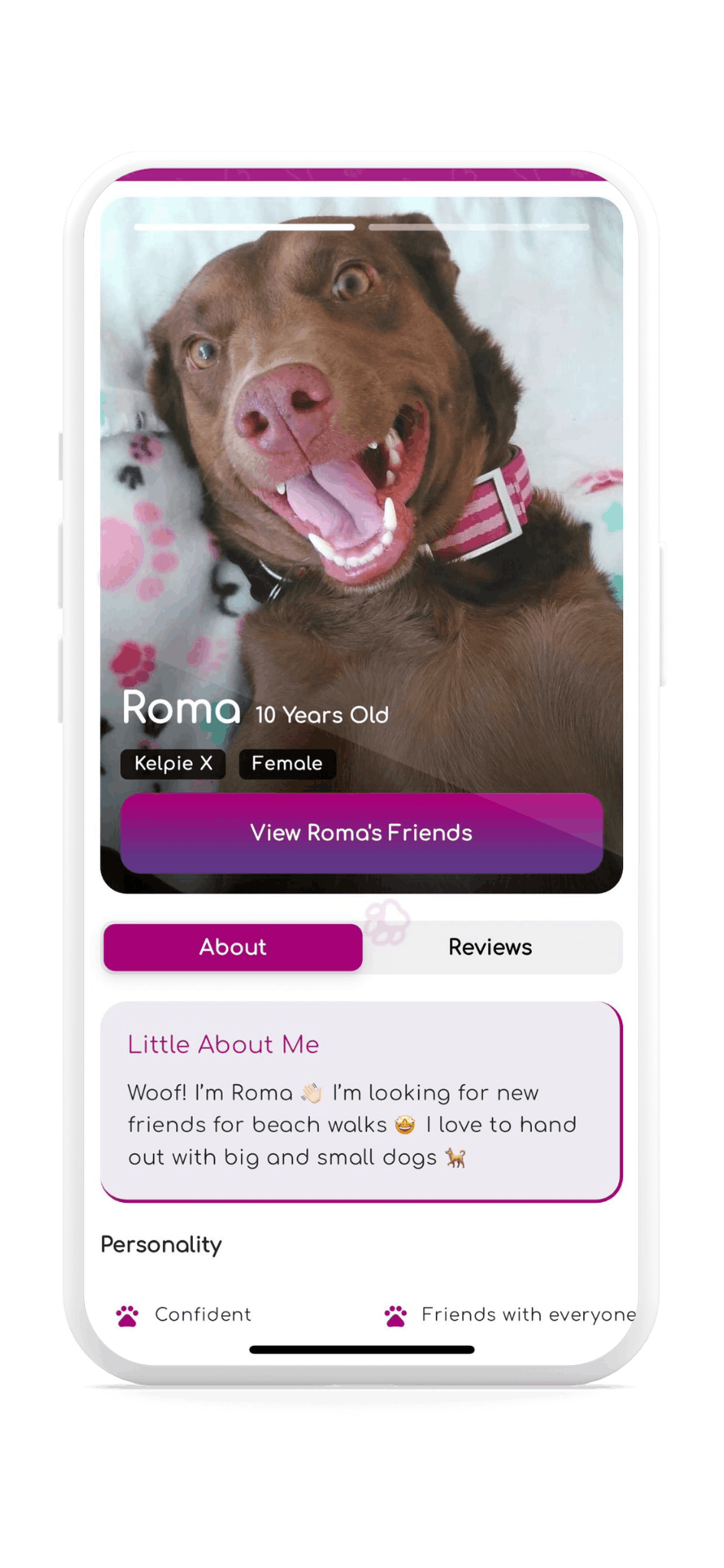 SocialDog app screenshot