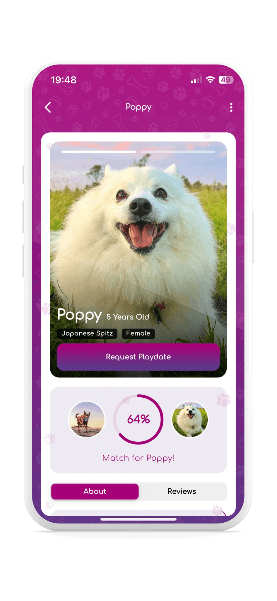 SocialDog app screenshot